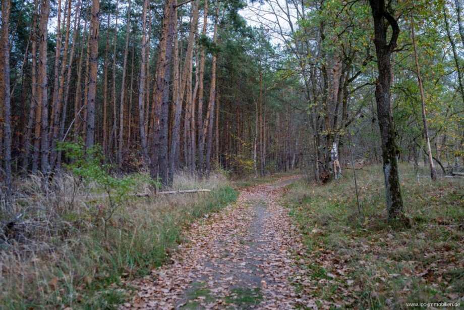 Sch�ne Wanderwege in der Umgebung Doppelhaush�lfte Sch�nebeck (Elbe)